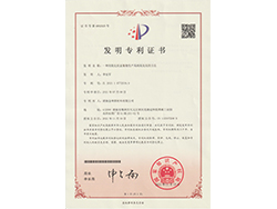 发明专利1